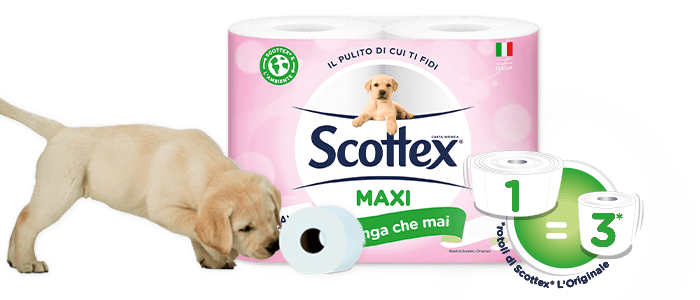 Carta Igienica Scottex: Maxi Rotoli Giganti