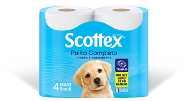 Scottex® Pulito Completo
