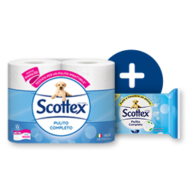 Sistema Scottex