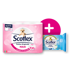 Sistema Scottex