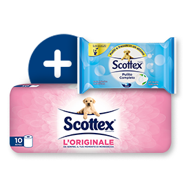 Sistema Scottex