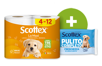 Sistema Scottex